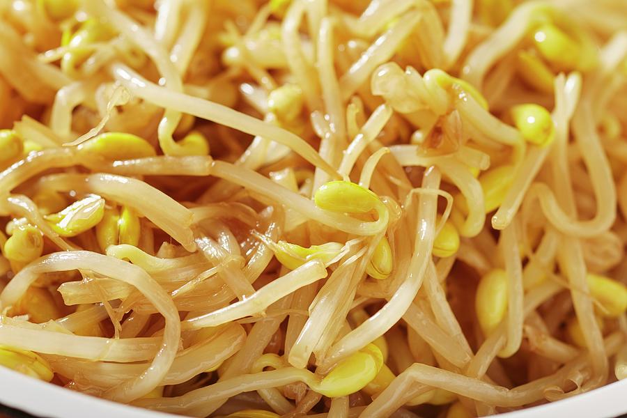 Soybean Sprouts In A Wok With Rice Wine And Soy Sauce china Photograph by Brian Yarvin
