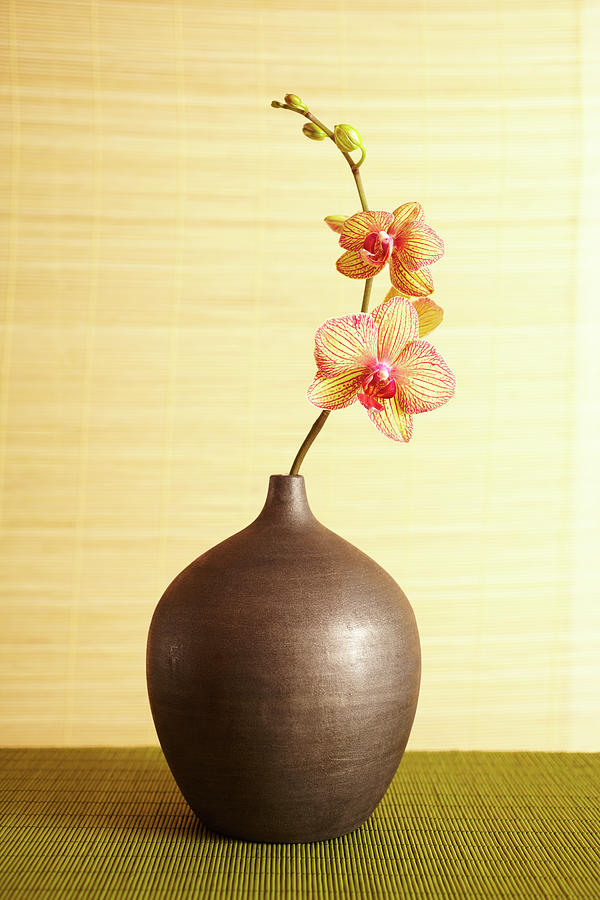 Spa Still Life Of Orchid Flower In Vase Photograph by Gspictures