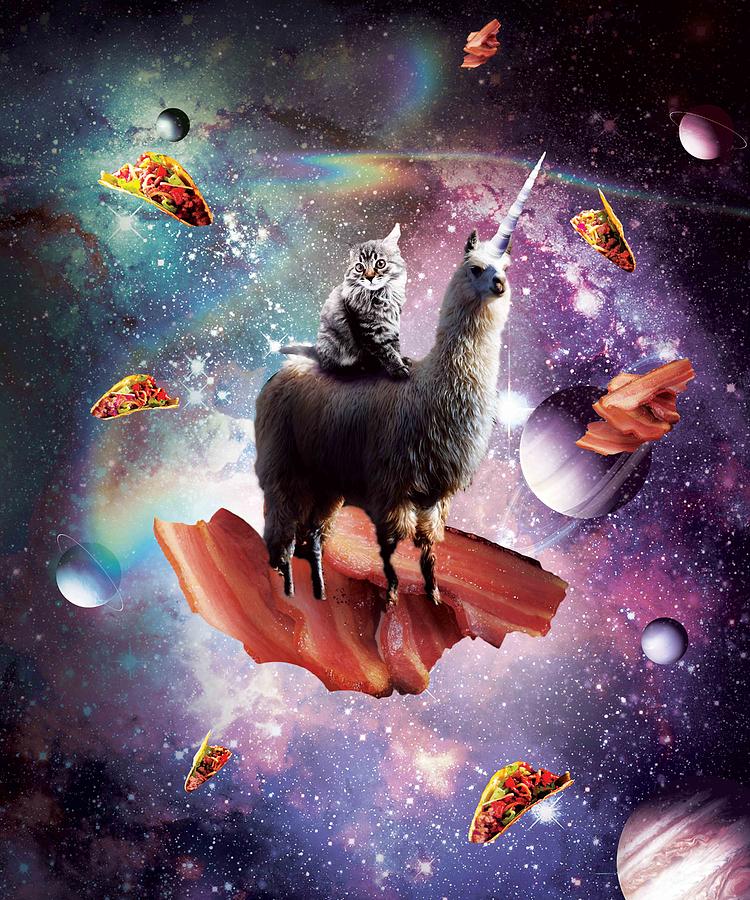 Laser Eyes Outer Space Cat Riding On Llama Unicorn #4 Digital Art by Random  Galaxy - Pixels