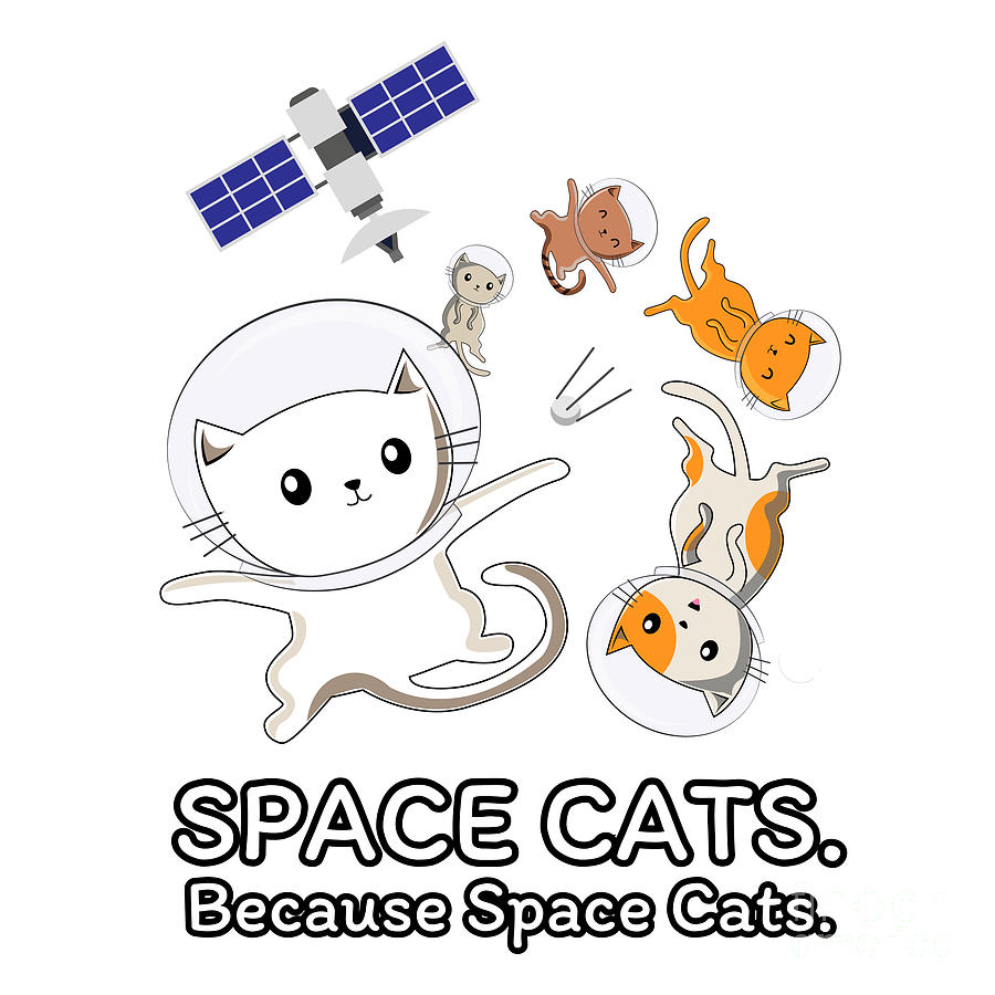 Space Cats Spaceship Galaxy Satellite Kitten Digital Art by Mister Tee -  Fine Art America