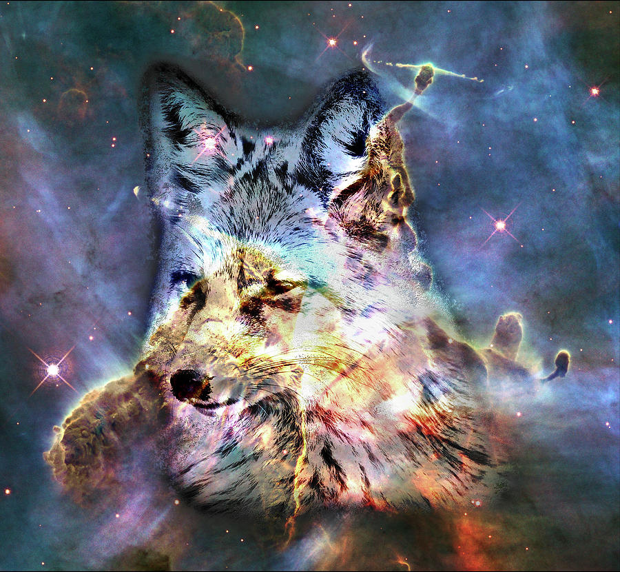 Space Fox no4 Digital Art by Grant Osborne - Fine Art America