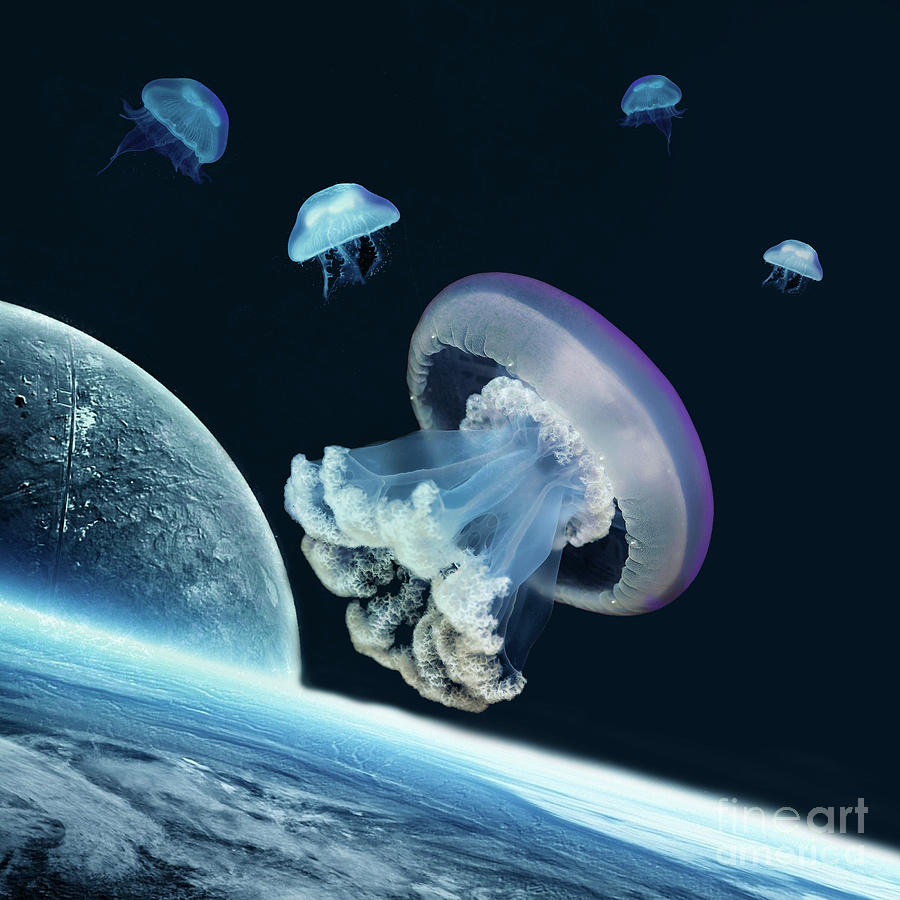 Space jellyfish Digital Art by Valentina Hramov - Fine Art America