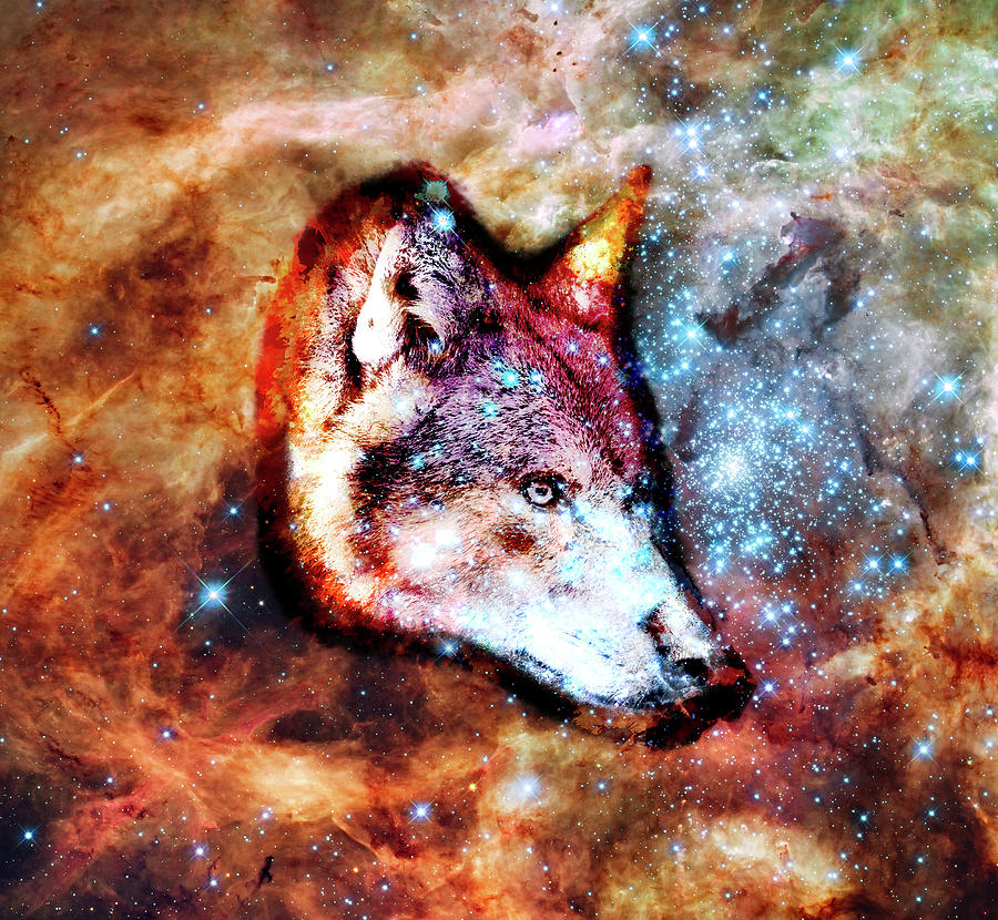 Space Wolf No2 Digital Art by Grant Osborne - Fine Art America