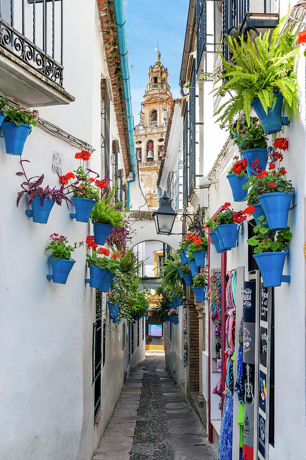 Spain, Andalusia, Cordoba District, Cordoba, Cobbled Alley Adorned With Flowers With Whitewashed Houses & Cathedrals Bell Tower In Background Digital Art by Stefano Politi Markovina