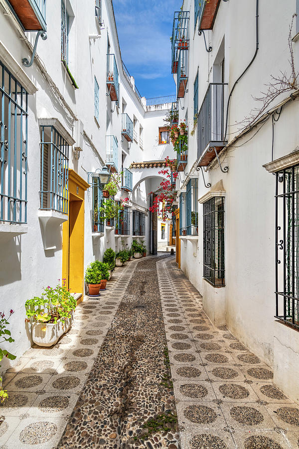Spain, Andalusia, Cordoba District, Cordoba, Picturesque Cobbled Alley With Whitewashed Houses & Flowers Digital Art by Stefano Politi Markovina