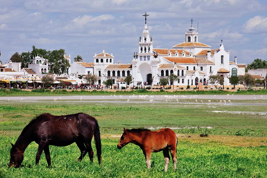 Spain, Andalusia, View Of El Rocio Town, With The Famous Church Known As The Ermita Del Rocio Which Contains The Statue Of The Virgen Del Rocio, As Seen From The Marshes Of The Donana National Park Digital Art by Riccardo Spila