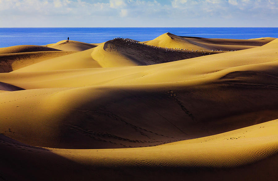 Spain, Canary Islands, Sand Dunes Digital Art by Olimpio Fantuz