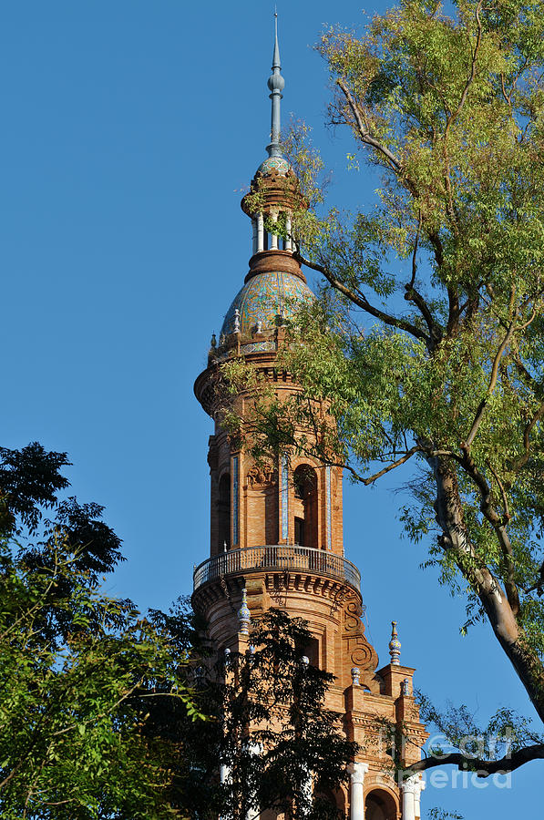 Spain Square Tower Detail and Trees in Seville by Angelo DeVal Spain Square Tower Detail and Trees in Seville by Angelo DeVal