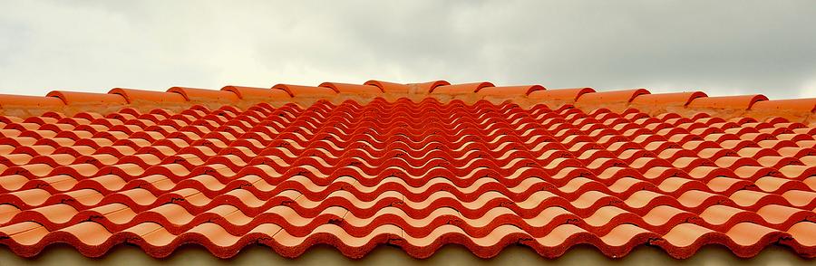 Spainish Tile Waves Photograph by Alida M Haslett