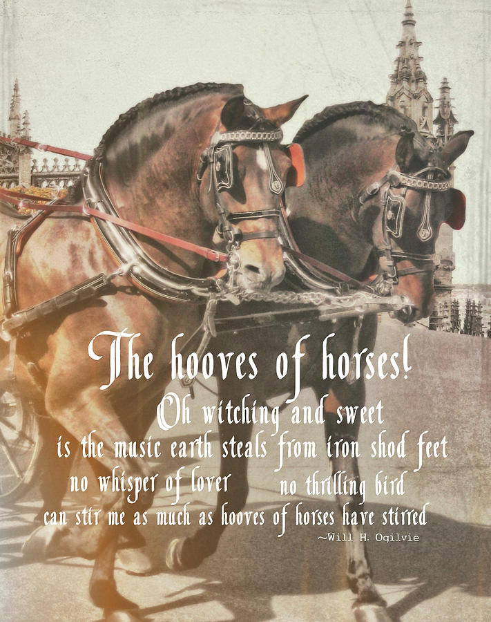 SPANISH HORSES quote Photograph by JAMART Photography