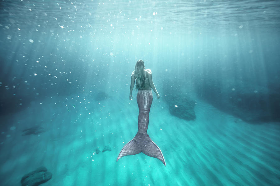Sparkle Mermaid  Photograph by Leonardo Dale