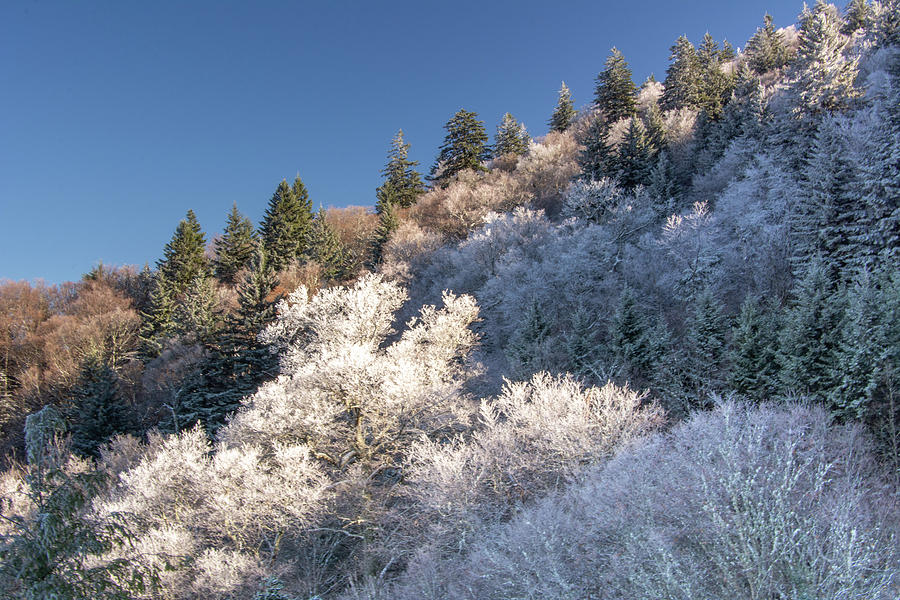 Sparkling Blue Ridge Mountains Photograph by Douglas Wielfaert