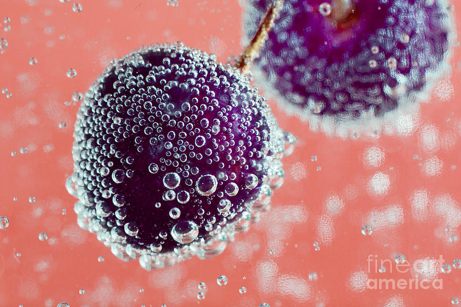 Cherry Photograph - Sparkling Cherries. An Image Of by Jne Valokuvaus Cherry Photograph - Sparkling Cherries. An Image Of by Jne Valokuvaus