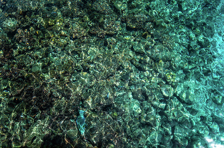 Sparkling Tropical Water of Coral Reef 1 Photograph by Jenny Rainbow