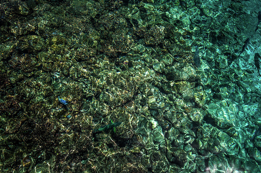 Sparkling Tropical Water of Coral Reef Photograph by Jenny Rainbow