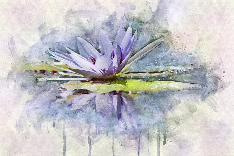 Sparkling Water Lilly Photograph by Leda Robertson
