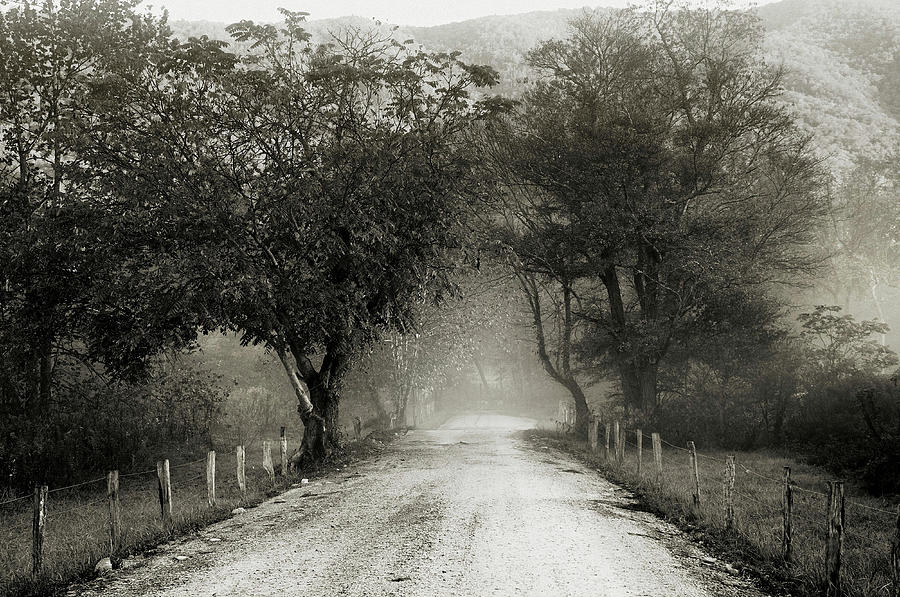 Sparks Lane Photograph by Nicholas Bell Photography - Fine Art America