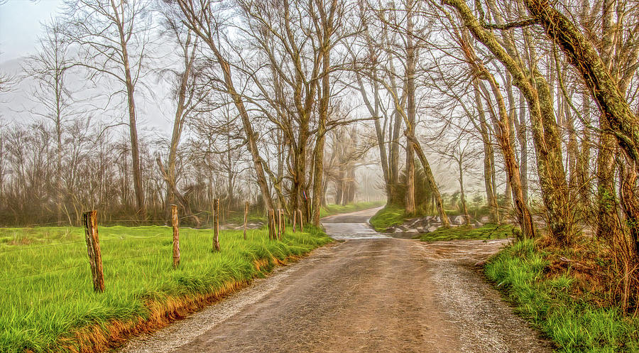 Sparks Lane On A Foggy Winter Morning Photograph by Marcy Wielfaert