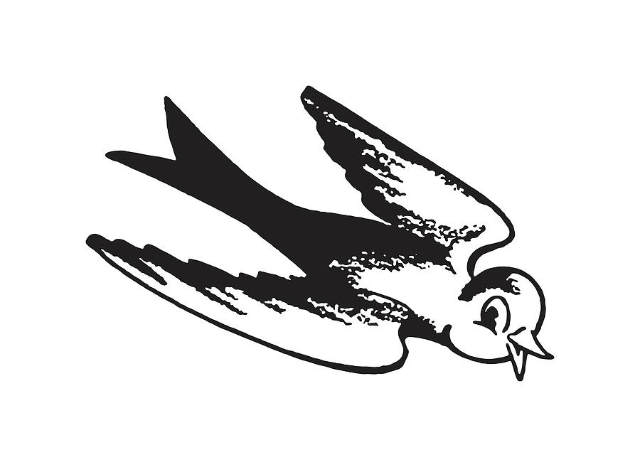 Black And White Drawing - Sparrow Diving by CSA Images Black And White Drawing - Sparrow Diving by CSA Images
