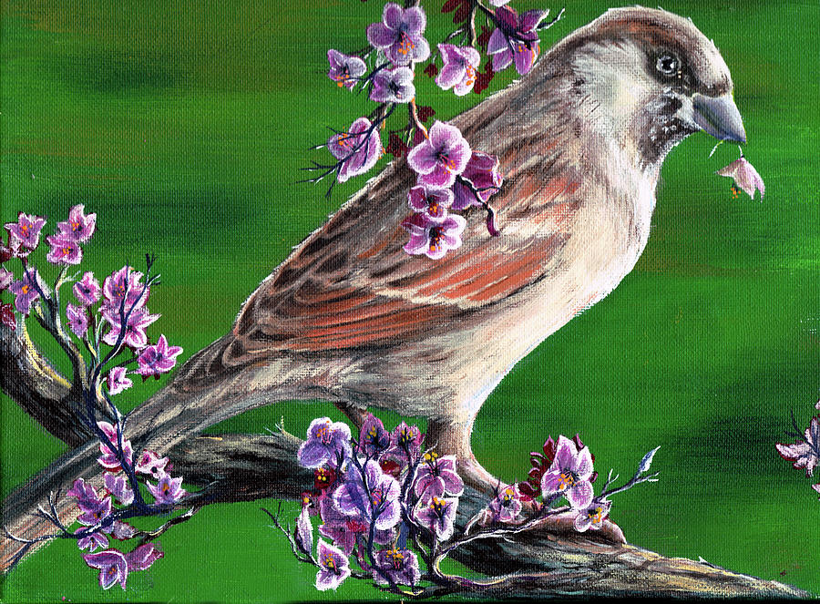 Sparrow Painting - Sparrow by Greg Farrugia