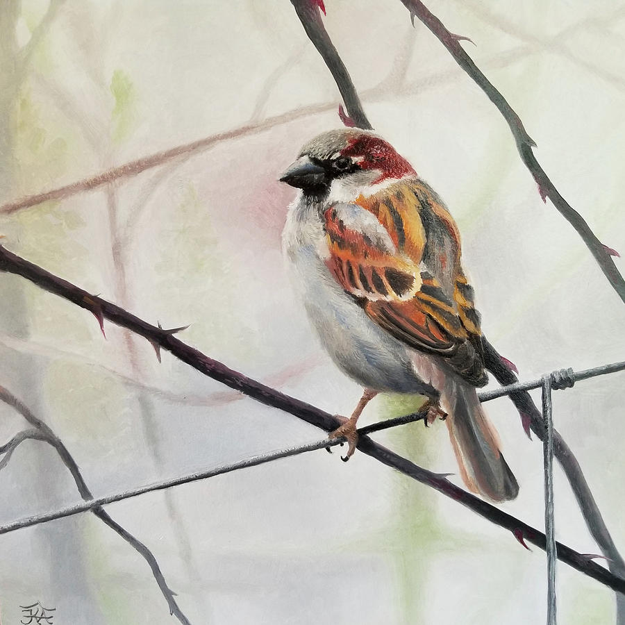 Sparrow Painting by Kelly Allard - Fine Art America