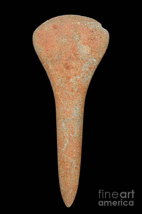 Spatula Axe Photograph by Pascal Goetgheluck/science Photo Library