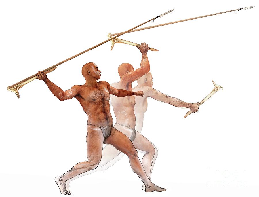 Spear-thrower Photograph by Jose Antonio Penas/science Photo Library