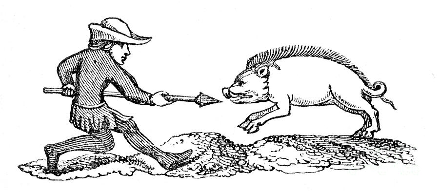 Spearing A Boar, 14th Century, 1833 Drawing by Print Collector