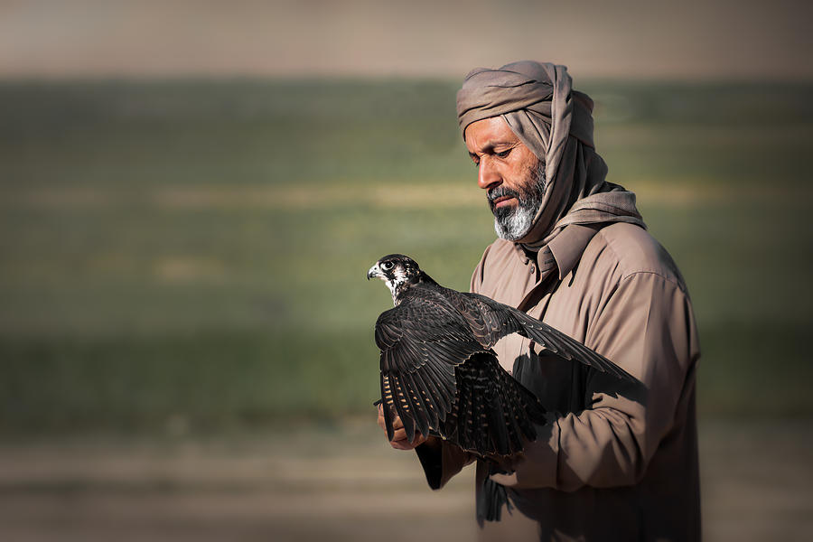 Animal Photograph - Special Bond .. by Ahmed Zaeitar