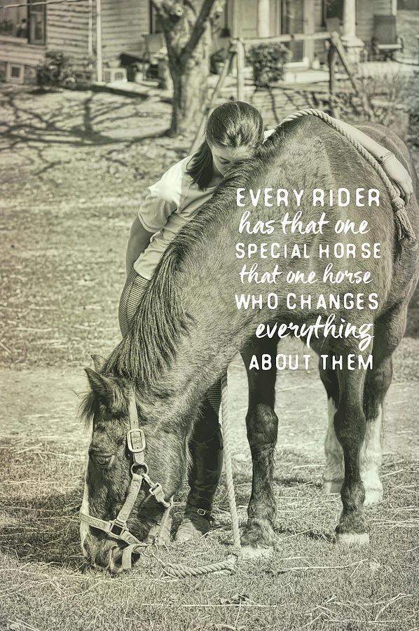 SPECIAL BOND quote Photograph by Dressage Design