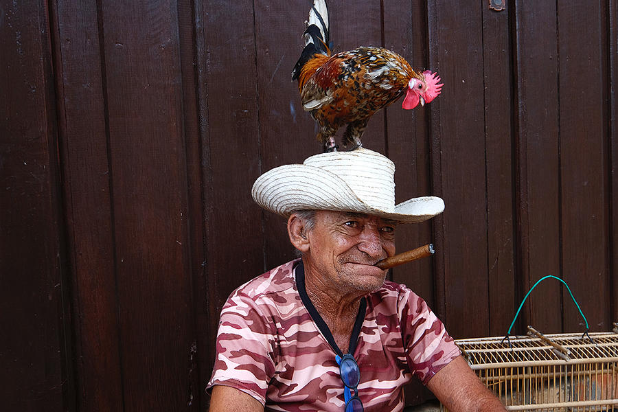 Special Hat Photograph by Orna Naor - Fine Art America