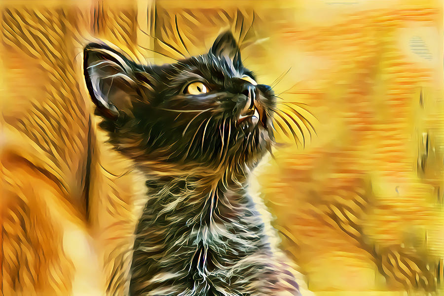 Special Long Neck Kitty Golden Eyes Digital Art by Don Northup
