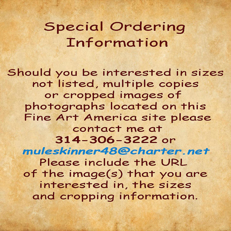 Special Ordering information by Greg Kluempers Special Ordering information by Greg Kluempers