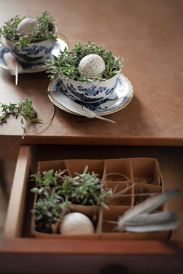 Speckled Eggs In Easter Nest In Blue-and-white China Teacup On Table With Open Drawer Photograph by Alicja Koll