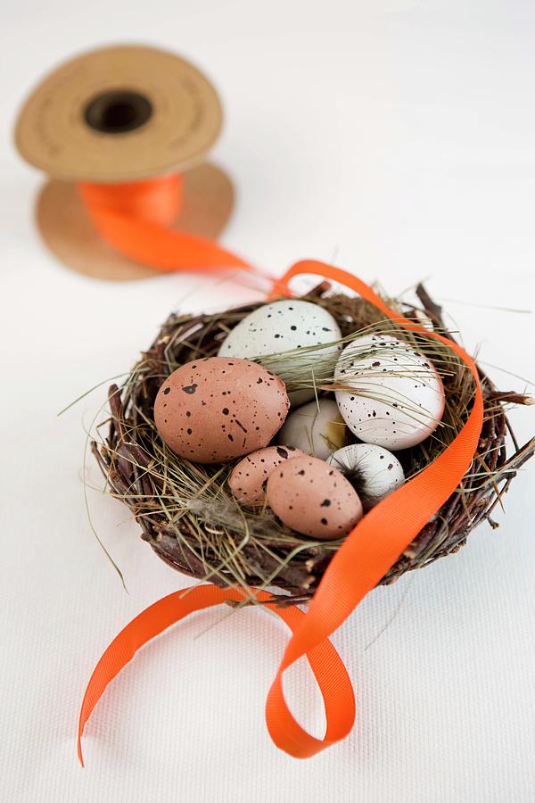 Speckled Eggs In Wicker Easter Nest And Orange Ribbon Photograph by Annette Nordstrom