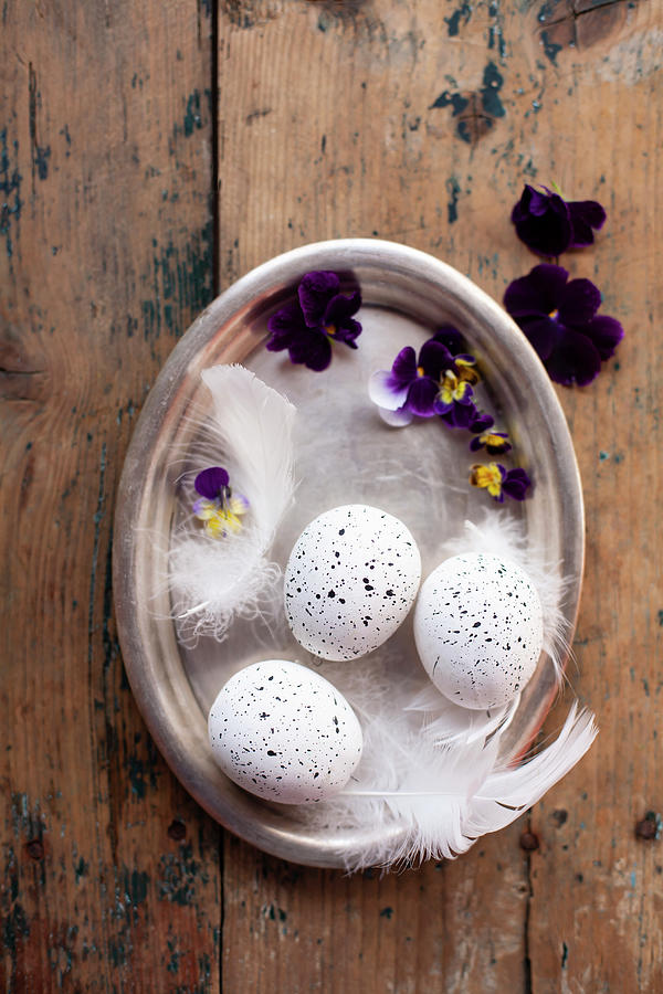 Speckled White Eggs With Feathers And Horned Violet Flowers On A Tray Photograph by Alicja Koll