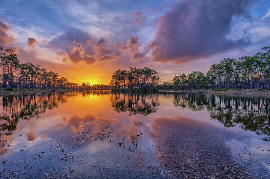 Spectacular Sunset at Long Pine Key Photograph by Claudia Domenig - Pixels