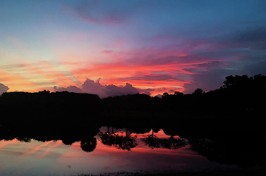 Spectacular sunset over a Florida Pond Digital Art by Dimitris Sivyllis