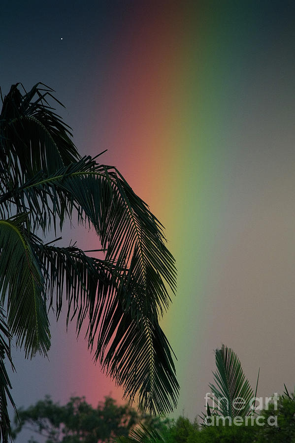 Spectral nights by Russell Brown Spectral nights by Russell Brown