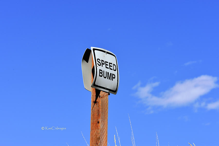 Speed Bump Photograph by Kae Cheatham