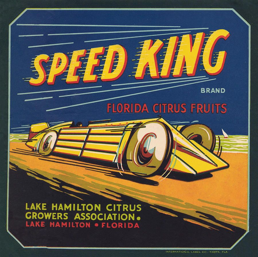 Speed King Florida Citrus Painting by Unknown
