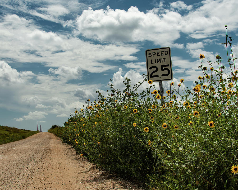 Speed Limit 25 Photograph by Hillis Creative