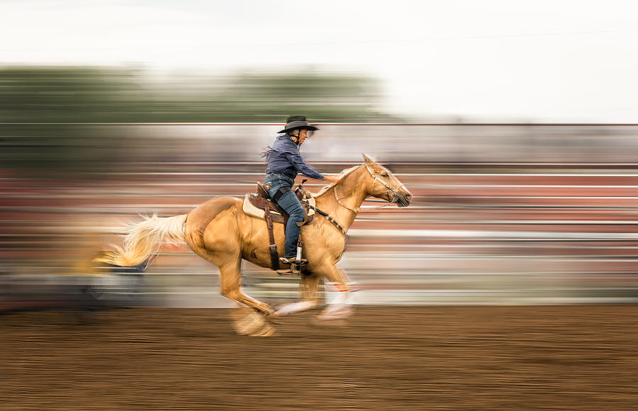 Horse Photograph - Speed Up by Molly Fu