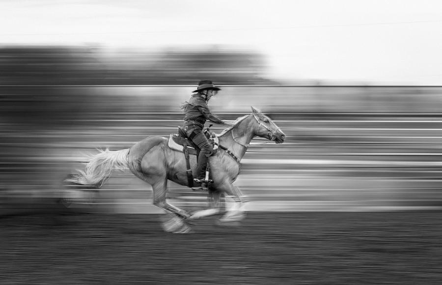 Horse Photograph - Speedup by Molly Fu