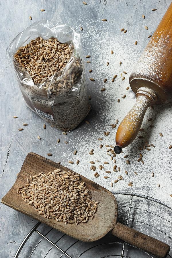 Spelt Grains On A Wooden Scoop And In A Plastic Bag Next To A Rolling Pin Photograph by Charlotte Von Elm