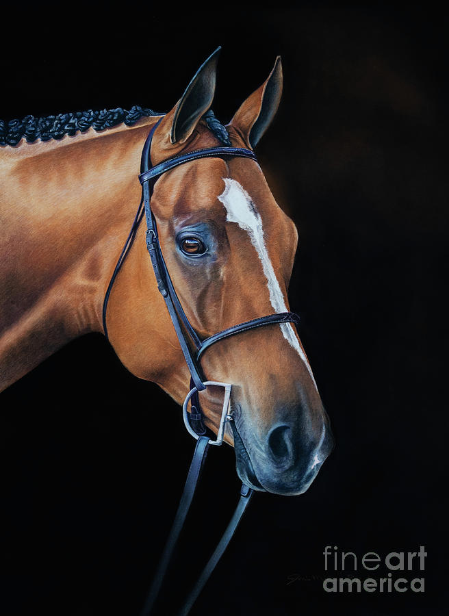 Horse Pastel - Spencer by Joni Beinborn