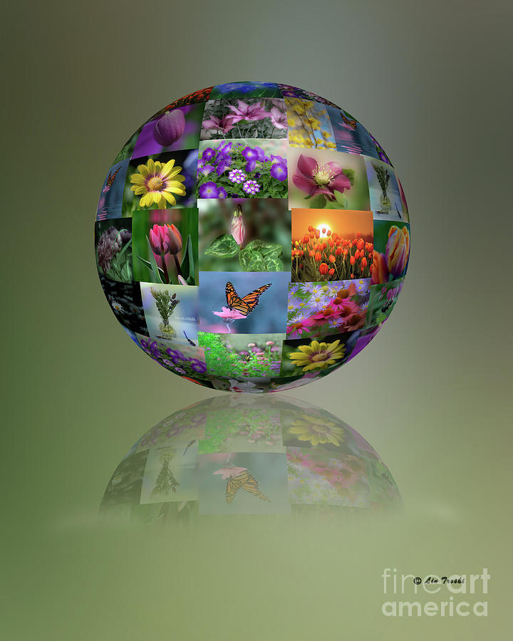 Sphere Of Flowers Photograph