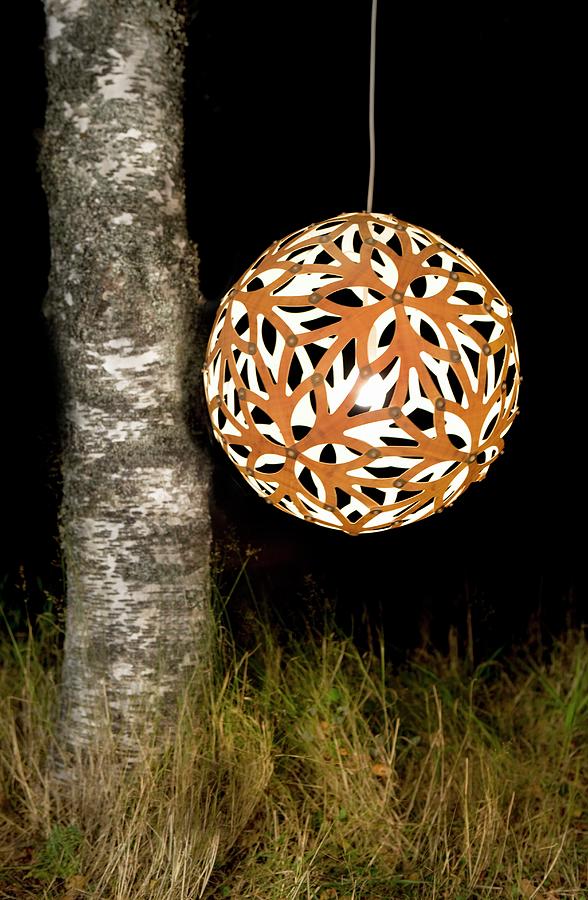 Spherical, Perforated, Orange Pendant Lamp Hanging Next To Birch Trunk Against Dark, Night-time Background Like A Lantern Photograph by Annette Nordstrom