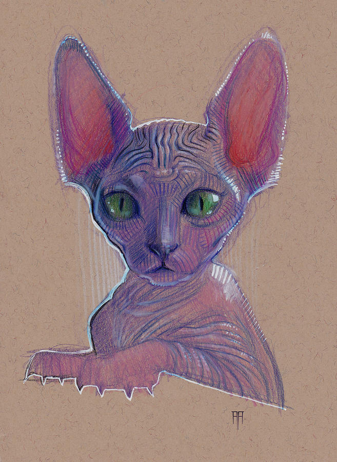 Sphynx Cat Drawing by Alex Ruiz