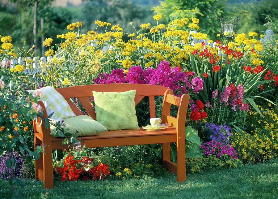 Spice Up A Yellow Bed With Colorful Perennials Photograph by Friedrich Strauss